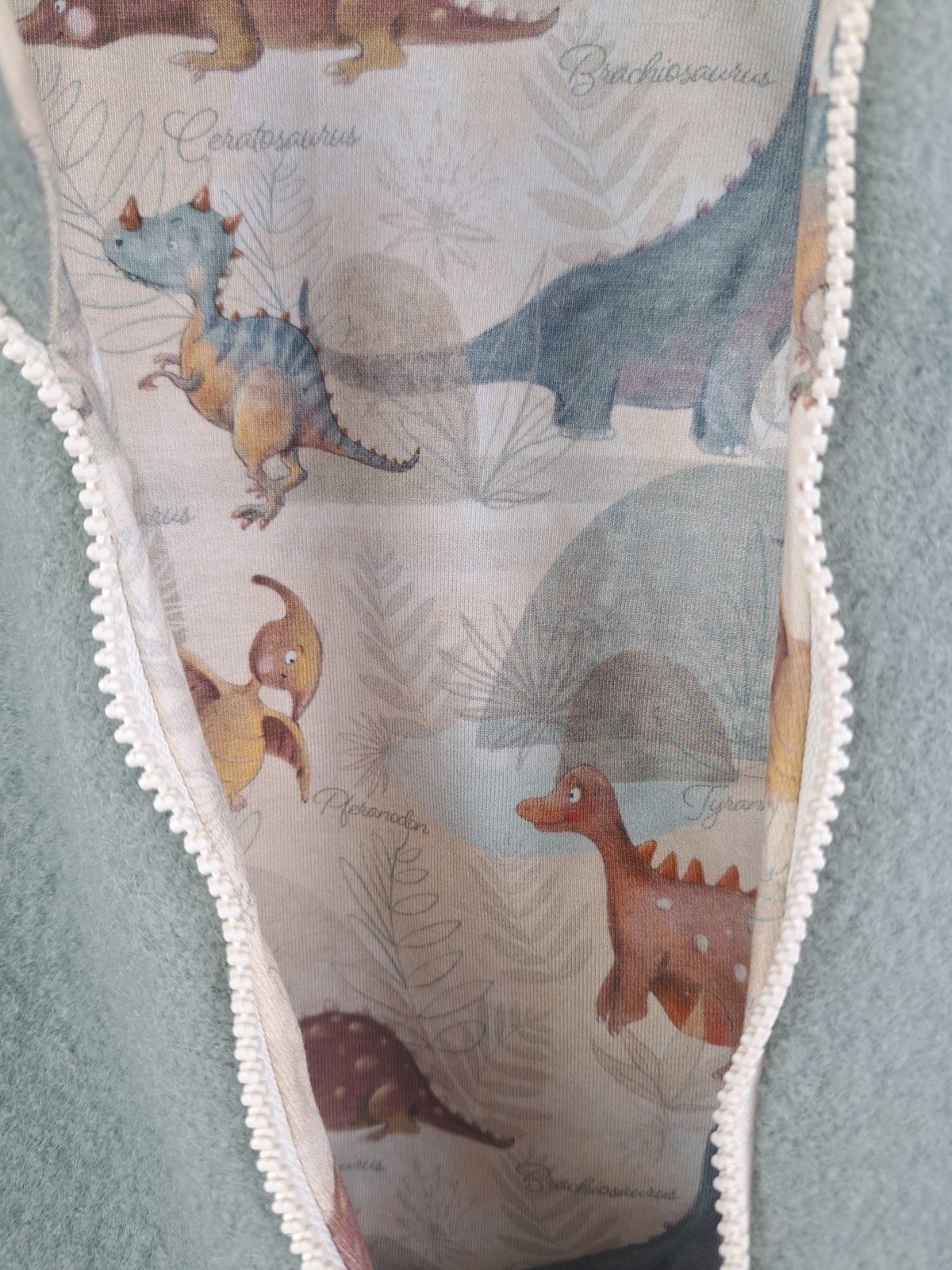 Walkoverall mint mit Dinosaurierland