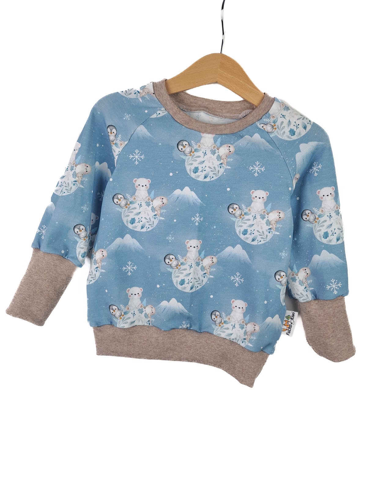 Pullover Eiswelt