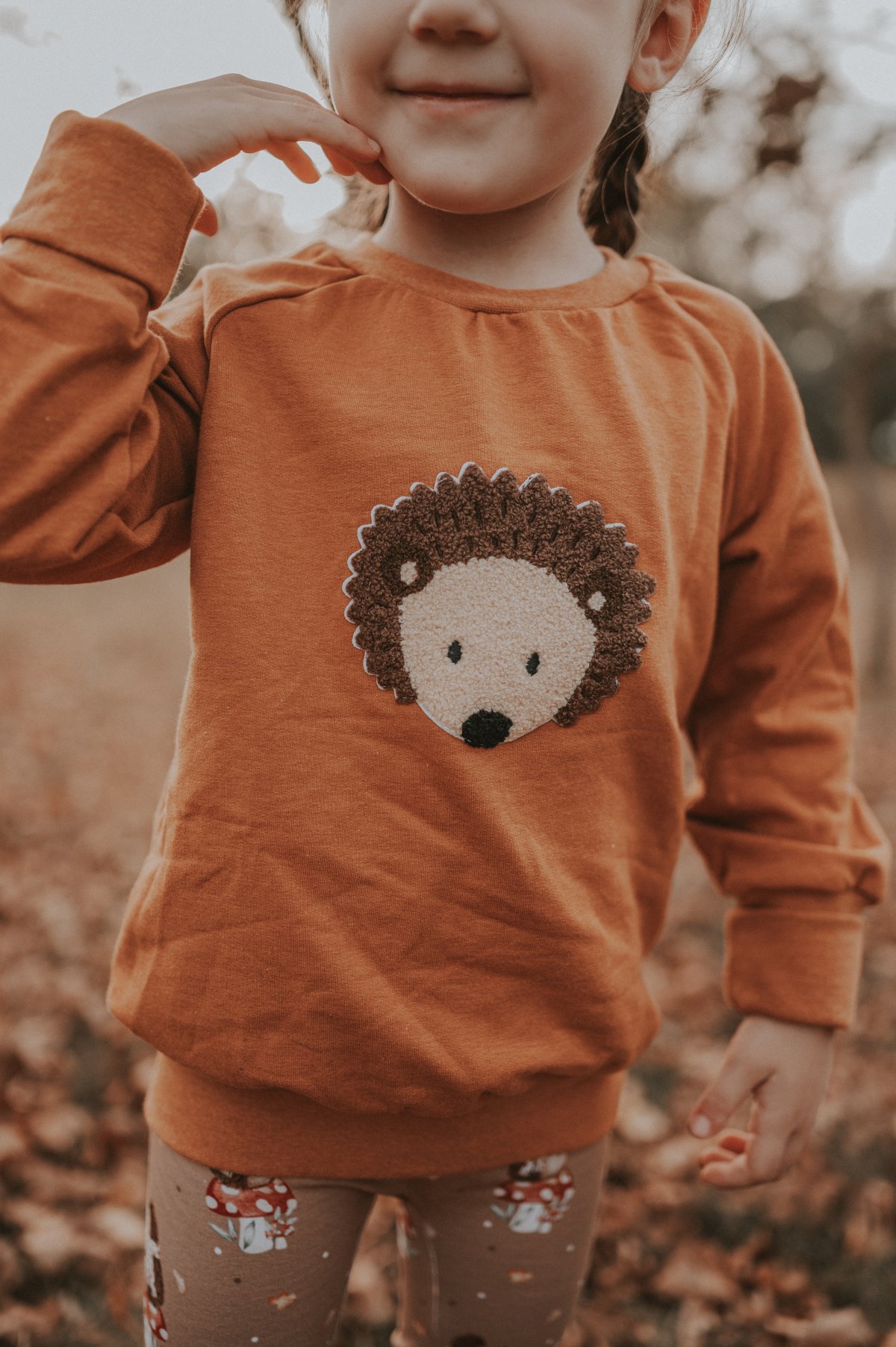 Pullover Igel-Patch rost