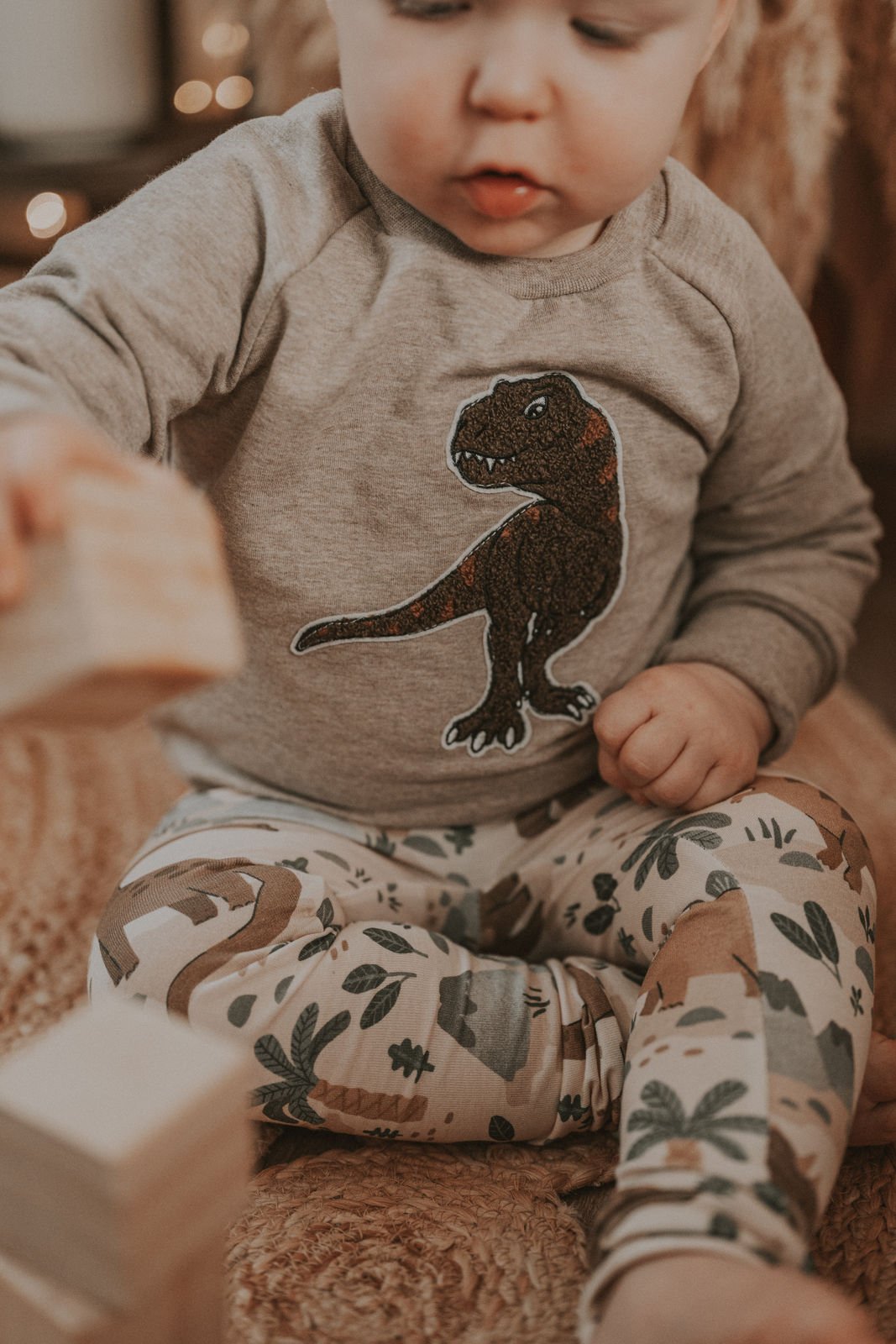 Pullover T-Rex-Patch khaki/sand