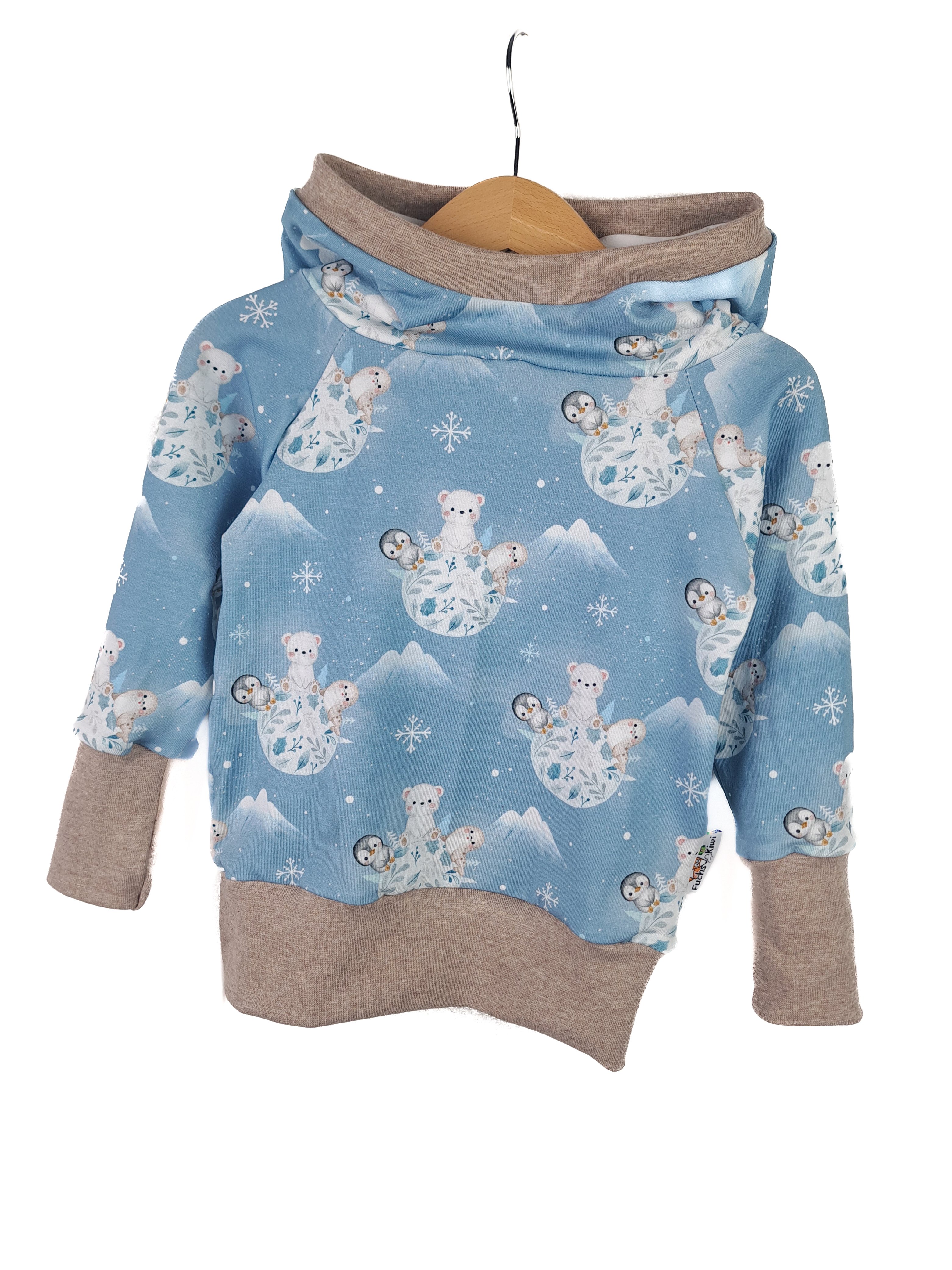 Hoodie Eiswelt