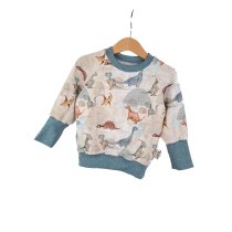 Pullover Dinosaurierland