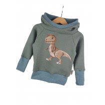 Hoodie Dino-Patch altmint