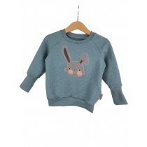 Pullover Knickohr-Patch altmint 74/80