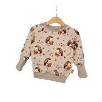 Pullover Stacheldieb