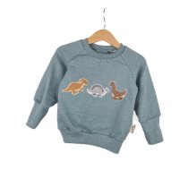 Pullover Dinolieblinge-Patch altmint