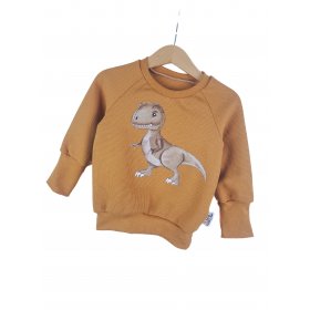 Pullover Dino-Patch curry