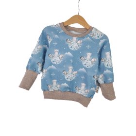 Pullover Eiswelt