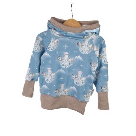 Hoodie Eiswelt