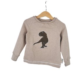 Langarmshirt T-Rex-Patch khaki/sand