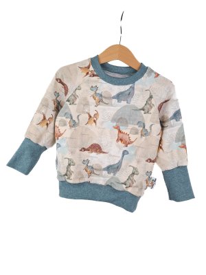 Pullover Dinosaurierland