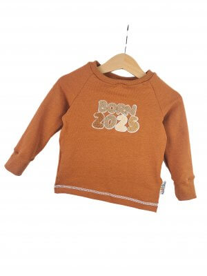 Langarmshirt Born 2025 zimt
