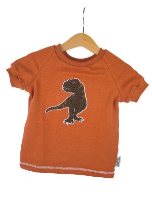 T-Shirt T-Rex-Patch khaki/rost