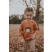 Pullover Igel-Patch rost
