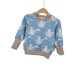 Pullover Eiswelt
