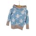 Hoodie Eiswelt