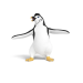 Pinguine Sand Outfit