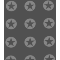 Softshell Sterne grau