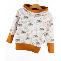 Hoodie Herbstigel rost