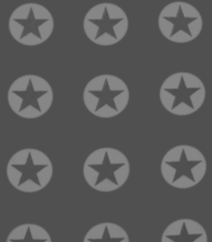 Softshell Sterne grau