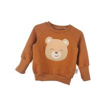 Pullover Teddy-Patch rost