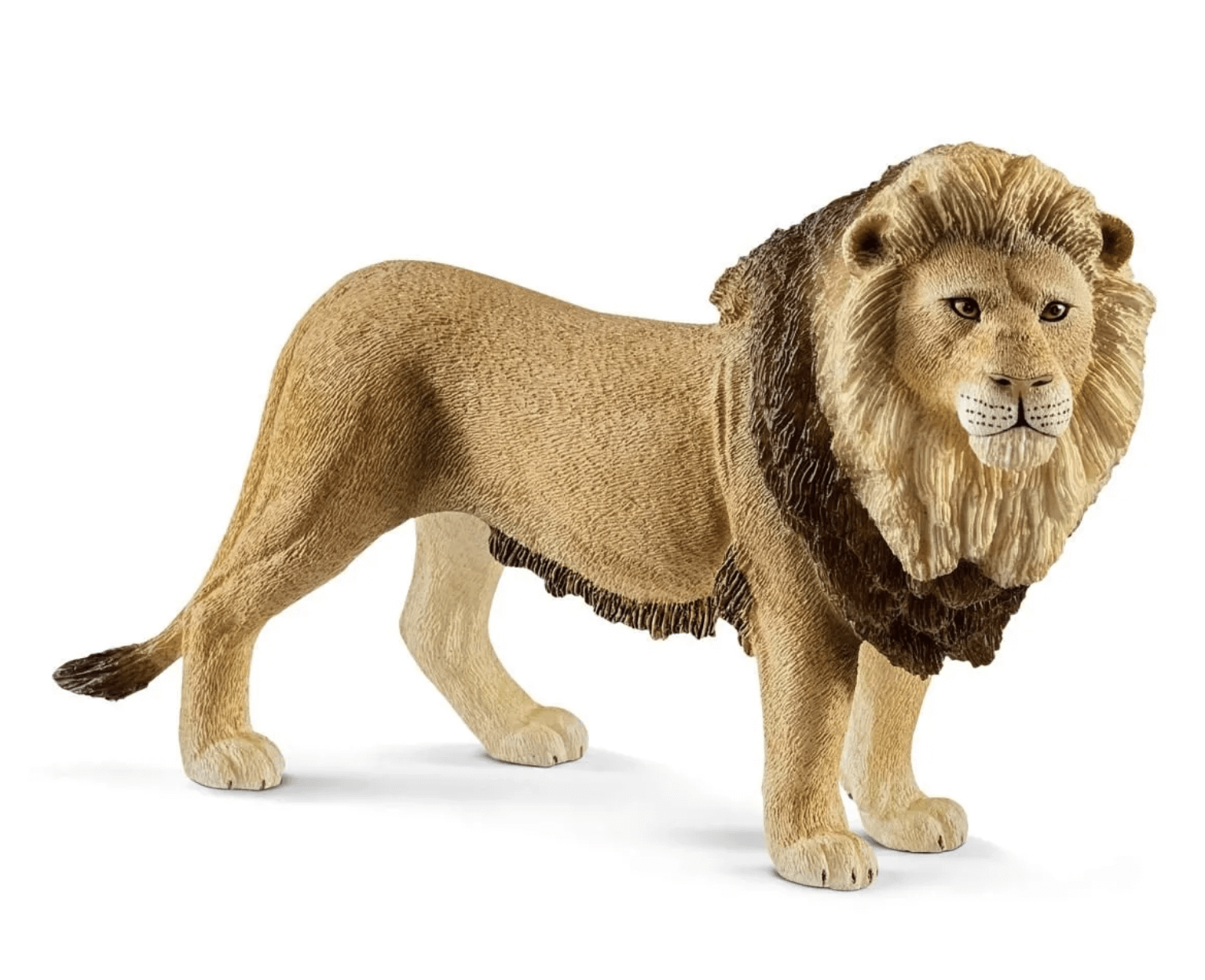 Schleich Löwe
