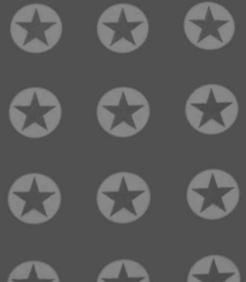 Softshell Sterne grau