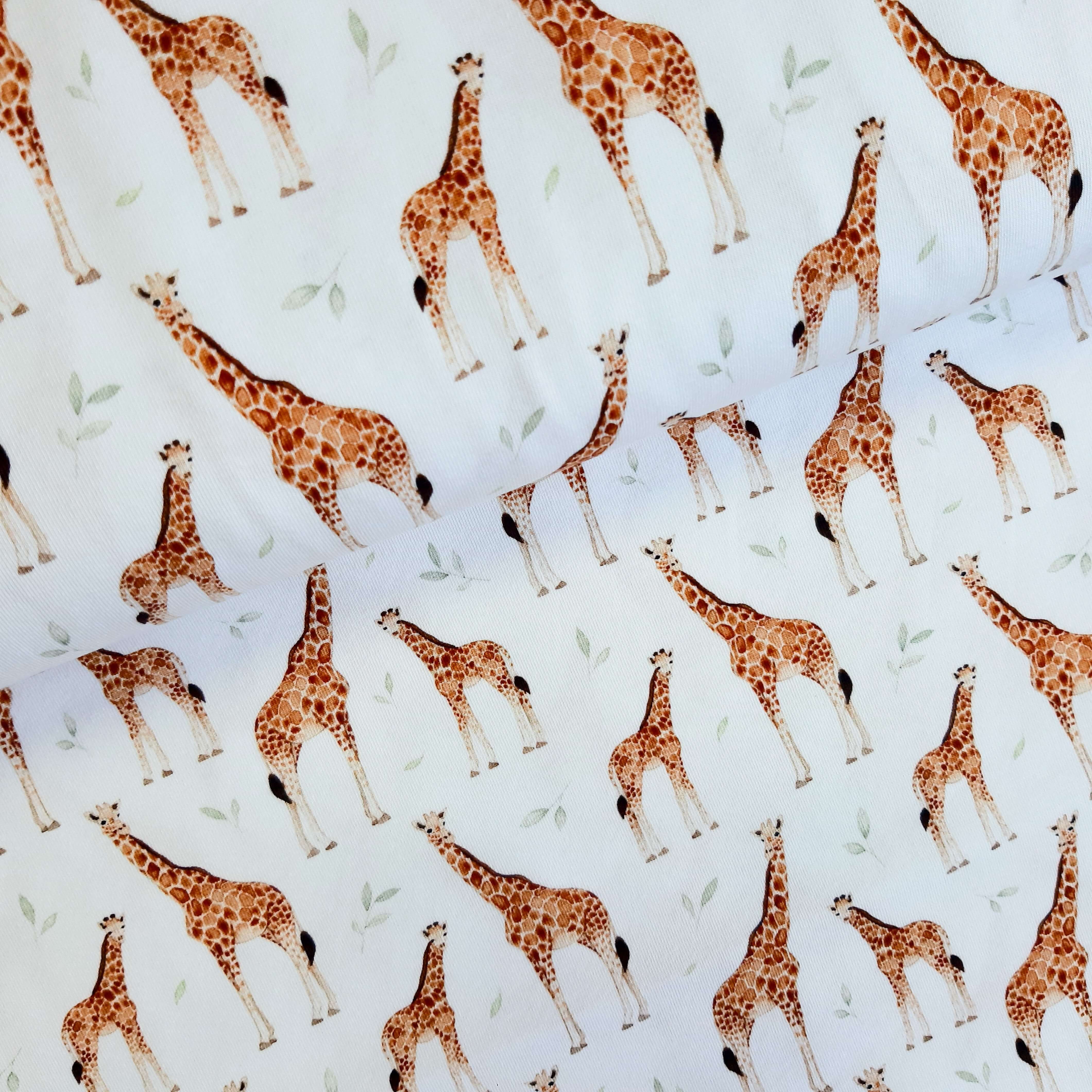 Ludos Lieblinge Giraffenliebe