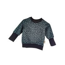 Pullover Leo anthrazit