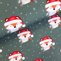 Ludos Lieblinge Weihnachtsfuchs grün