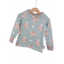 Langarmshirt Fauli mint