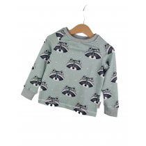 Langarmshirt Waschbär mint