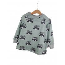 Langarmkleid Waschbär mint