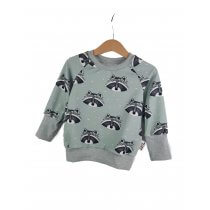Pullover Waschbär mint