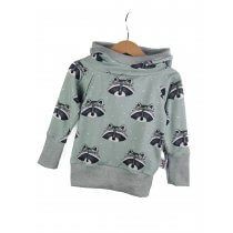 Hoodie Waschbär mint