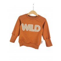 Pullover Wild-Patch rost 86/92