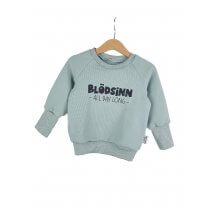 Pullover Blödsinn all Day long-Patch mint