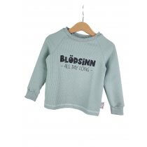 Langarmshirt Blödsinn all Day long-Patch mint