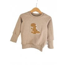 Pullover Dinosaurier-Patch sand