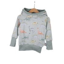 Hoodie Dinoliebe