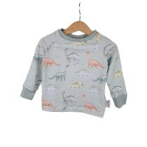 Langarmshirt Dinoliebe 74/80