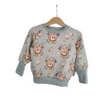 Pullover Bienenbär