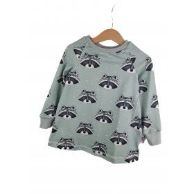 Langarmkleid Waschbär mint