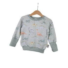 Pullover Dinoliebe
