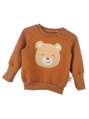 Pullover Teddy-Patch rost